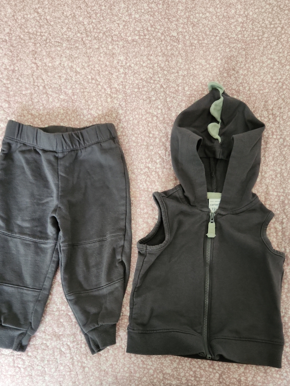 Carter's Toddler Gray Hooded Zip Sweatshirt and Pants Set with Dinosaur Spikes